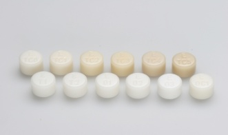 IPS Empress Esthetic IPS Empress Esthetic