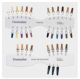 IPS Ivocolor Shade Guide Essence 